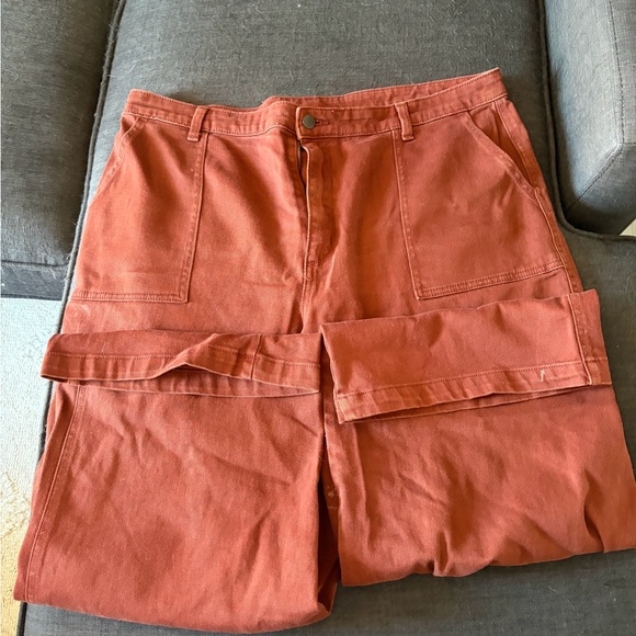 Universal Thread Terracotta Cargo Pants - Picture 1 of 2